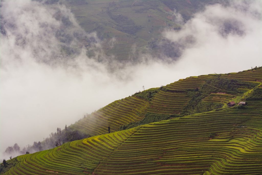 viaje a través de los cultivos de arroz vietnamita como destino de invierno