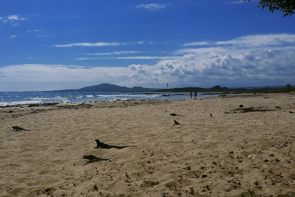 Playa San Cristobal